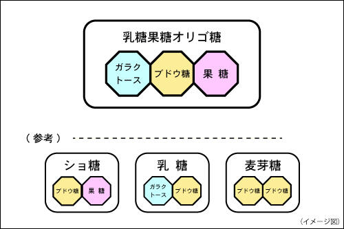 乳糖果糖オリゴ糖（１）_挿入画像2_乳糖果糖オリゴ糖の分子構造イメージ図