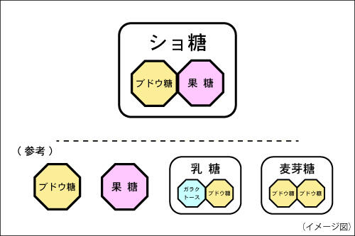 ショ糖ってどんなもの？_挿入画像1_ショ糖の分子構造イメージイラスト